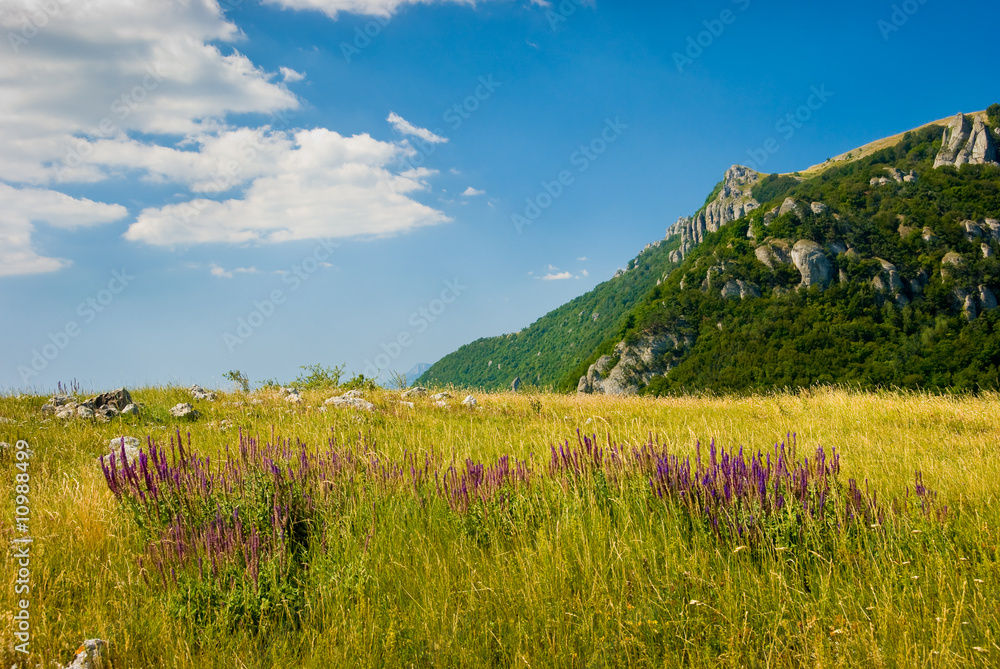 Crimea mountains