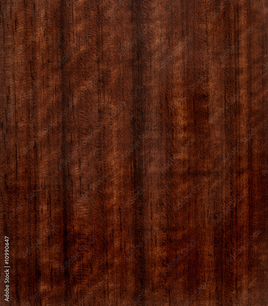 Fototapeta premium dark wood