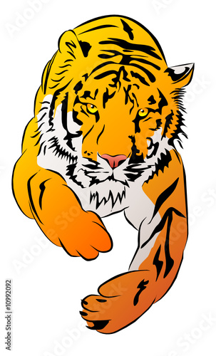 tiger