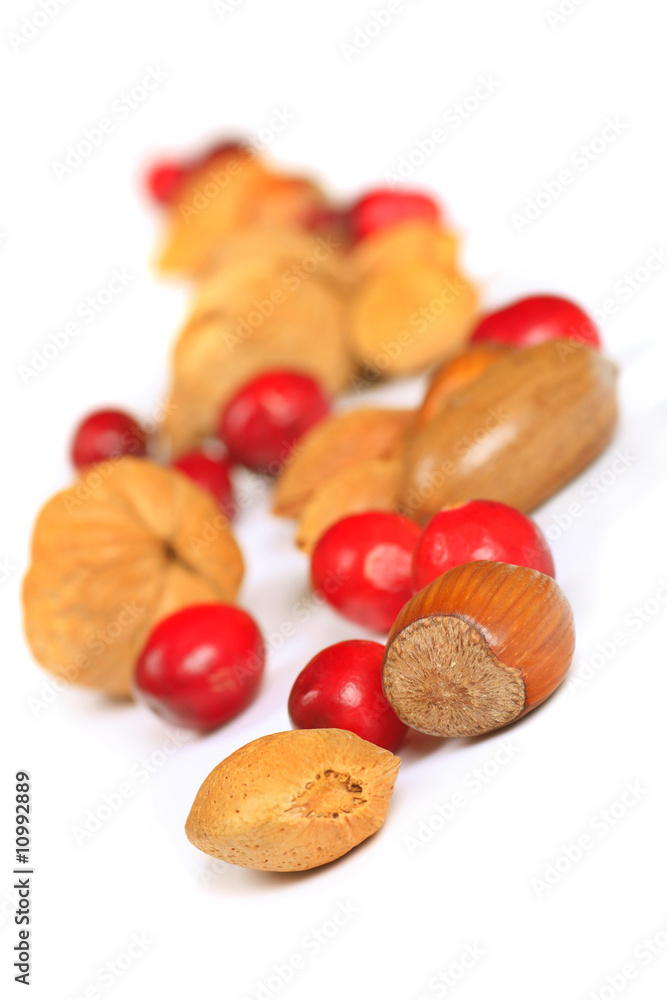 nuts and cranberries nuts and cranberries