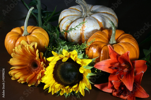 Pumpkin and Flowers