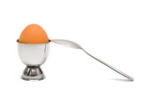 Egg and the spoon