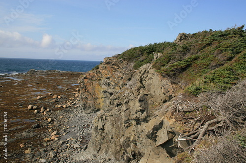 Küste in Neufundland - Kanada photo