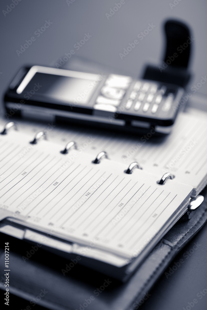 organizer and mobile phone organizer and mobile phone