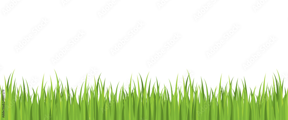 Naklejka Bezszwowy wiosna trawy wektor