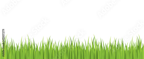Seamless spring grass vector