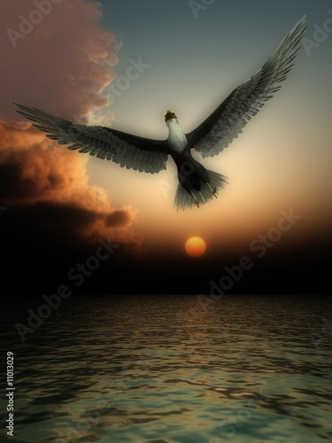 Eagle In Sky © chrisharvey