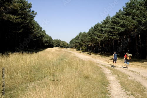 Il cammino di Santiago