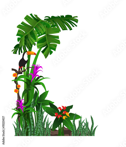 Tropic Background