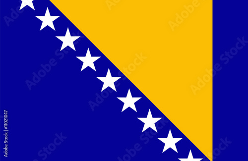 Bosnia and Herzegovina flag