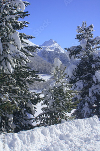 Winterlandschaft bei Celerina