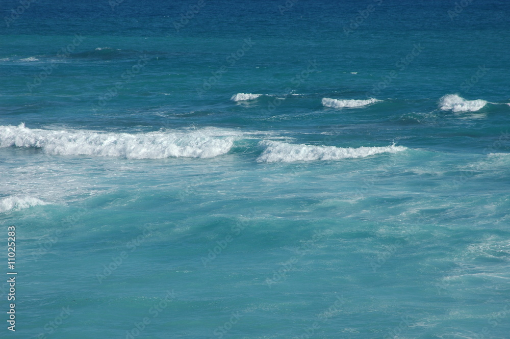 Fototapeta premium Wave