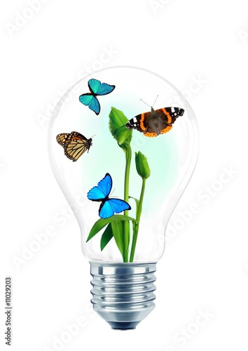 Natural energy Lightbulb photo