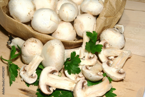 funghi champignon