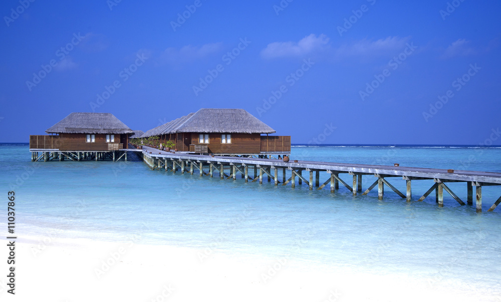 bungalows meeru island