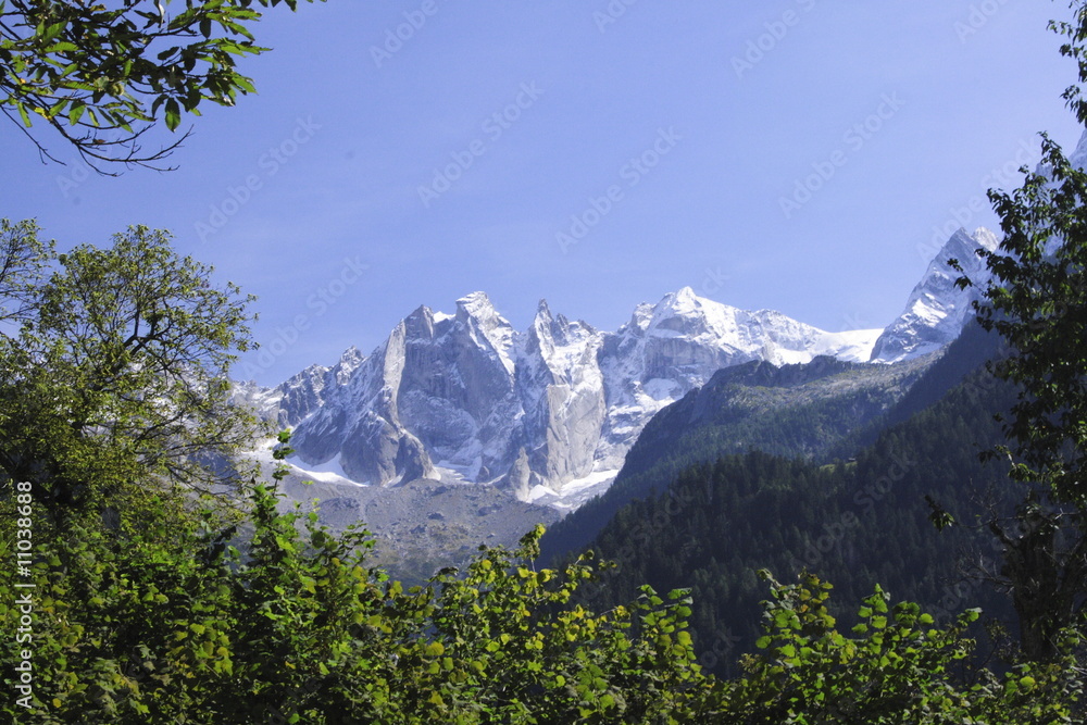 Sciora- Gruppe vom Kastanienwald unterhalb Soglio.