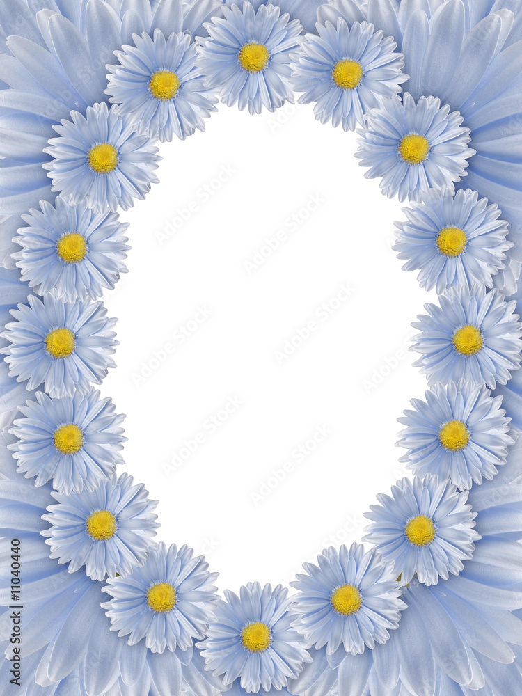 Chamomile frame Chamomile frame
