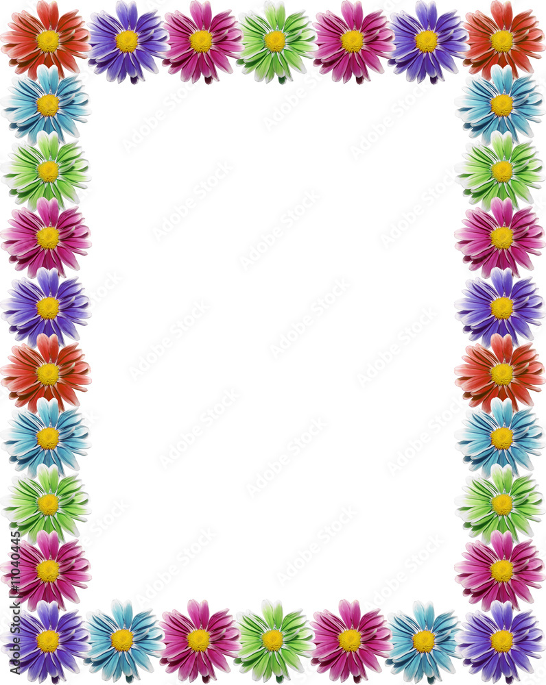 Fototapeta premium Chamomile frame