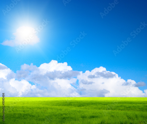 green field and sky