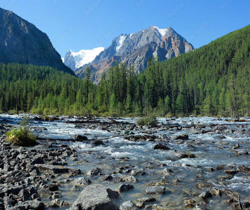 Fototapeta premium Mountain Altai. The river Shavla.