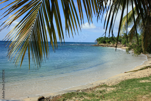 caraïbes