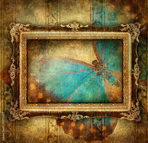 artwork with empty frame and butterfly