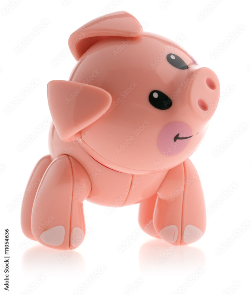 Fototapeta premium pig