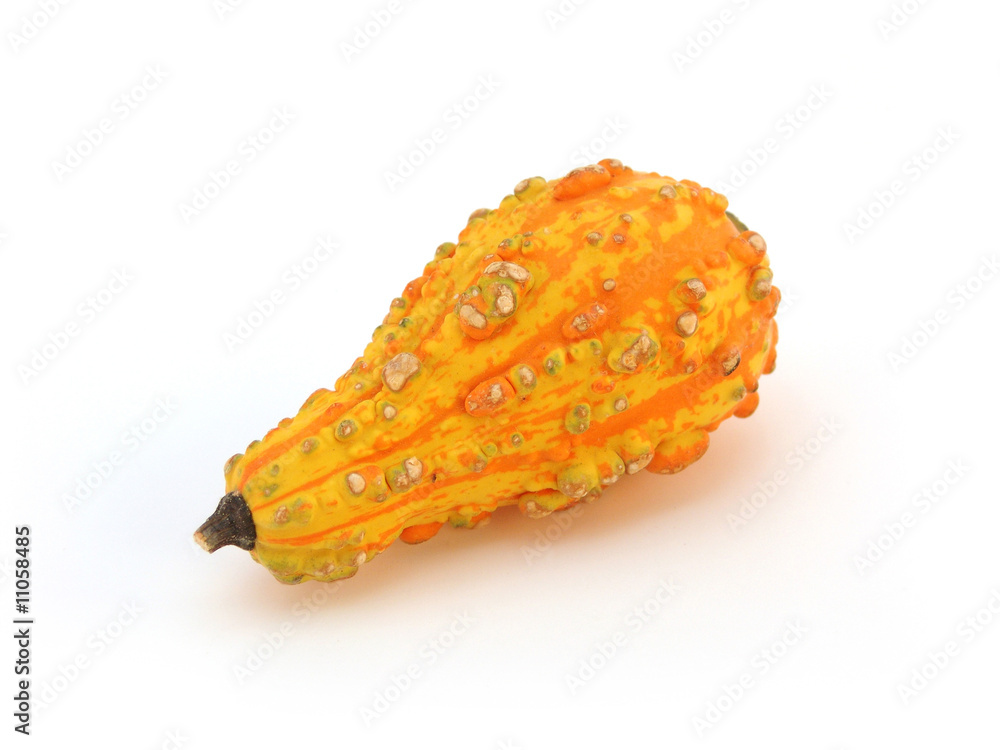 Naklejka premium gourds