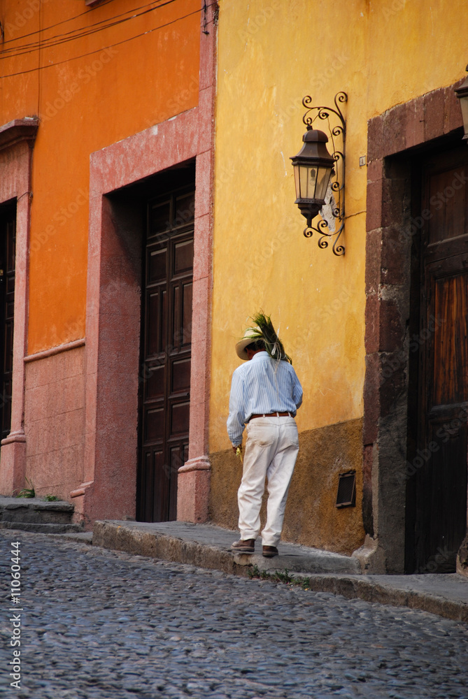 Man carrying palm branches, Mexico.