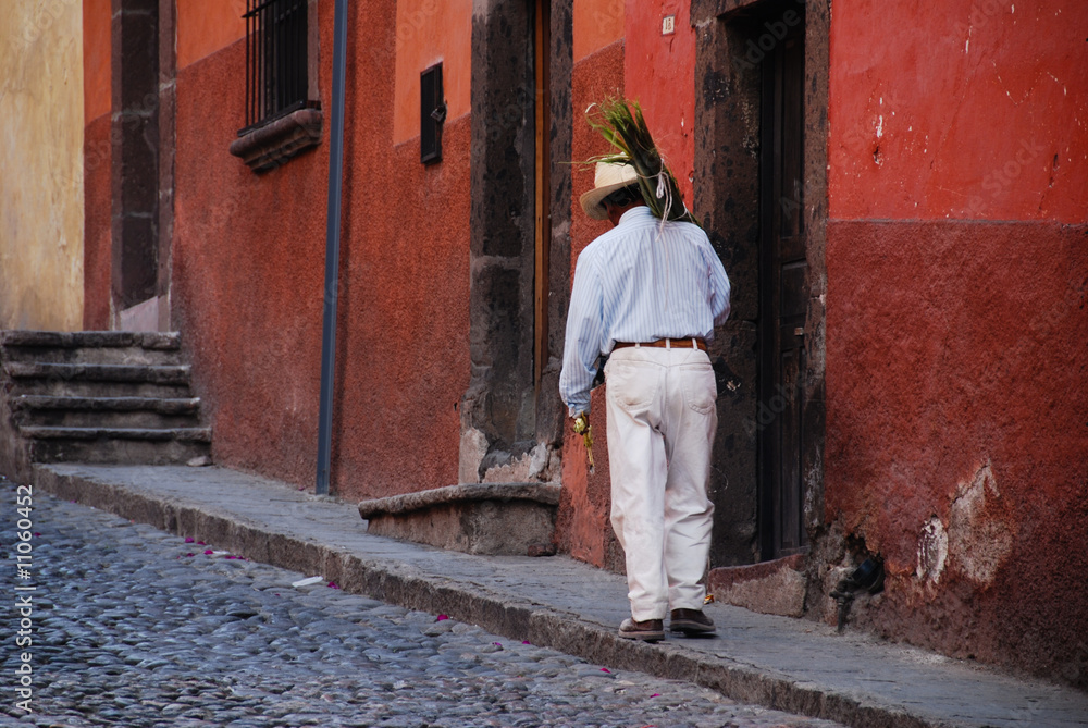 Man carrying palm branches, Mexico.