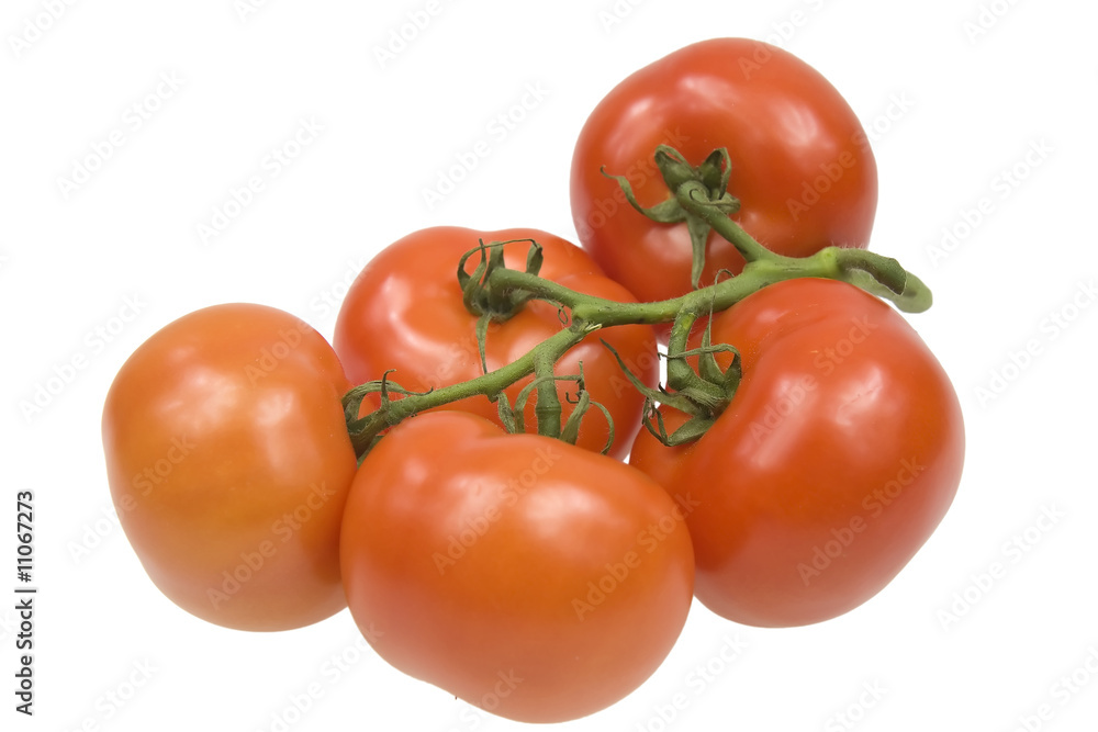 Tomates en grappe