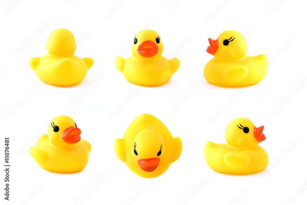 rubber yellow duck isolated on white rubber yellow duck isolated on white