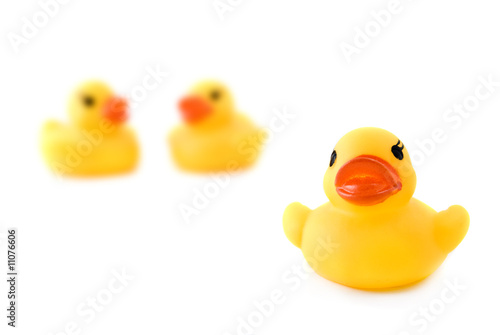 three rubber yellow ducks isolated on white © artjazz