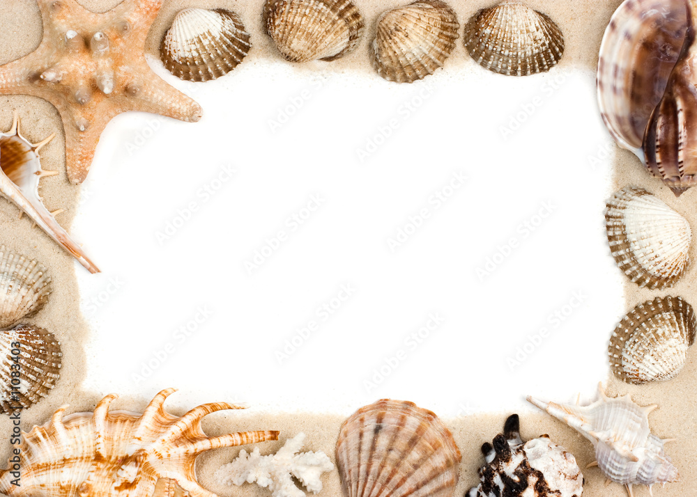 Obraz premium Shells on sand frame
