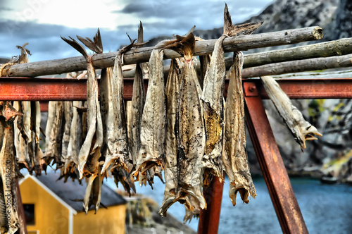 Stockfisch