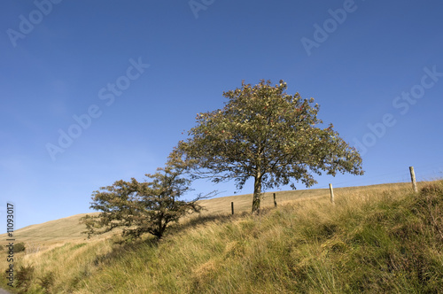 brecon beacons