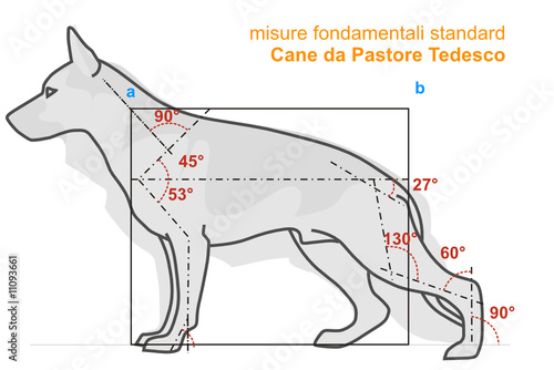 standard pastore tedesco