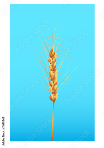 spike vector