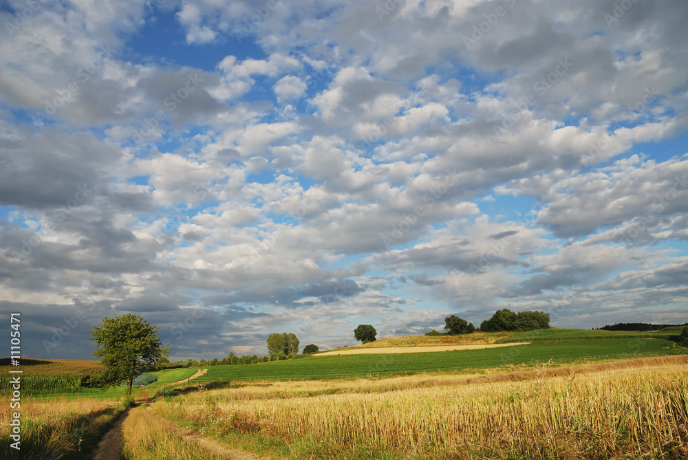 Fototapeta premium Bavarian Sky