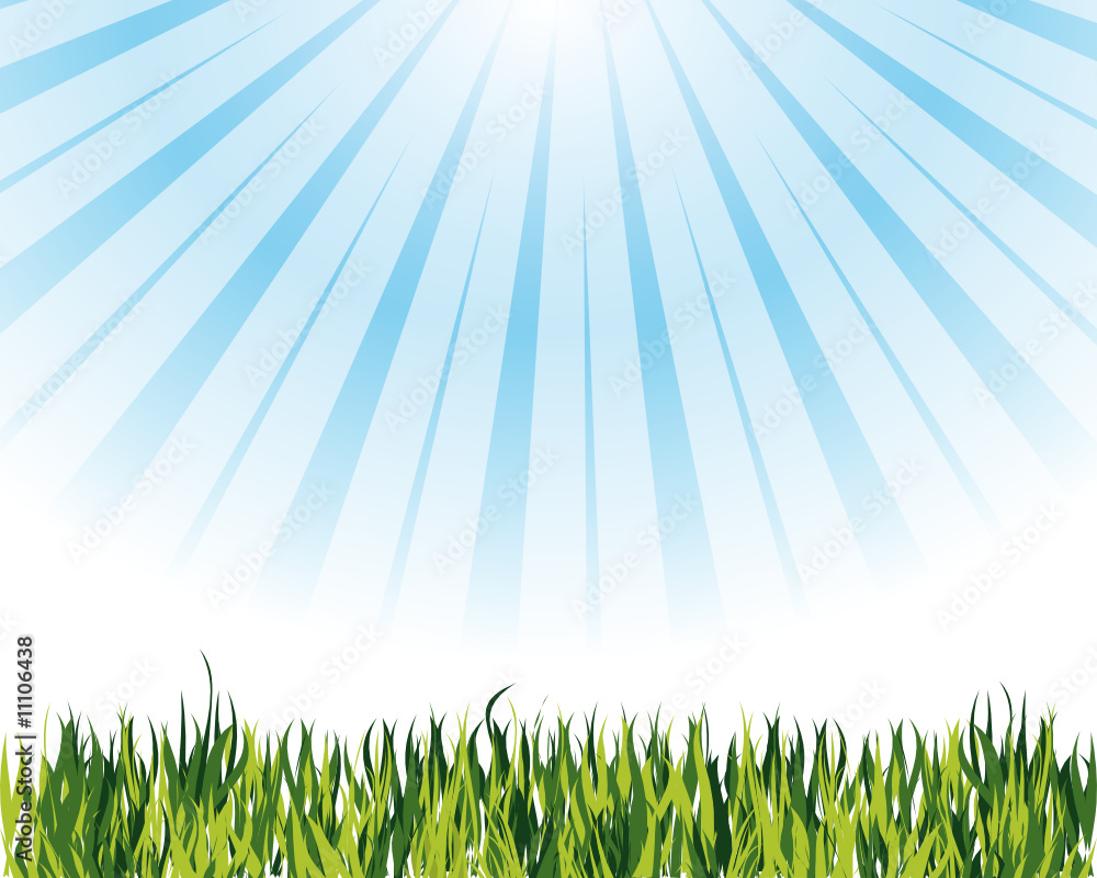 Obraz premium A beautiful meadow for your design project