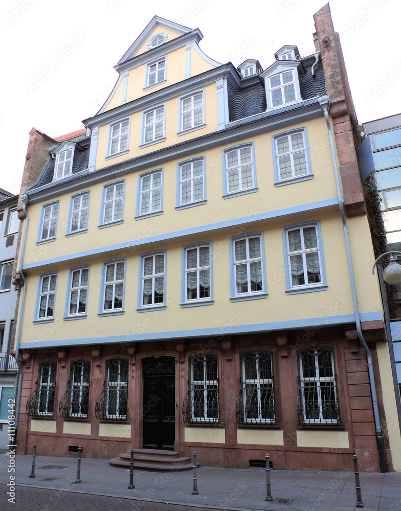 Obraz premium Frankfurt - Goethe-Haus 2008