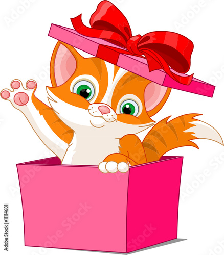 cat_box