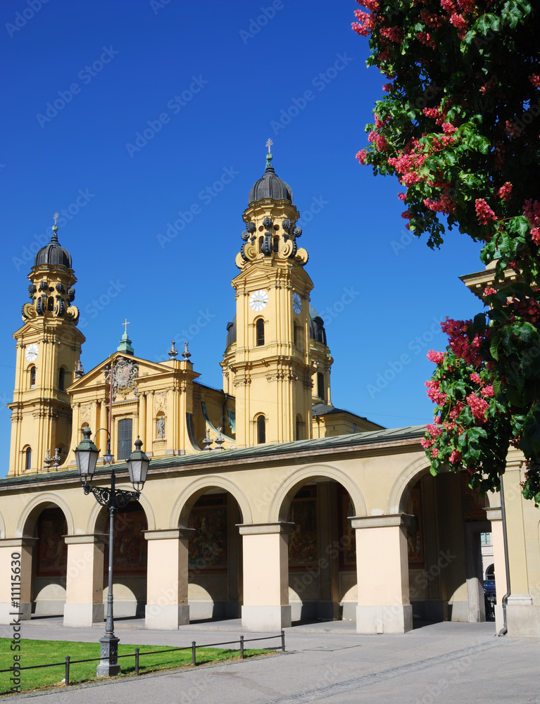 Theatiner church