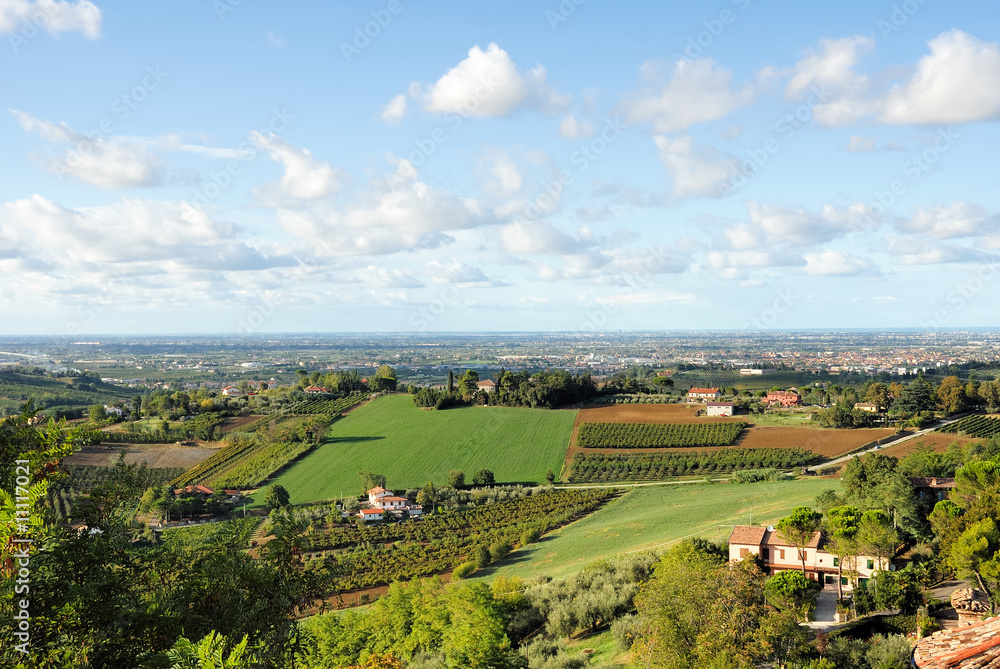 Italy, Romagna hills vineyards near Longiano