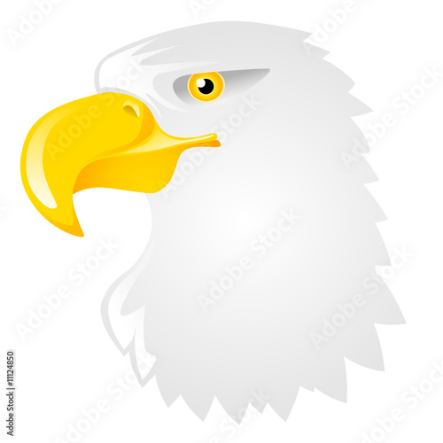 testa d'aquila