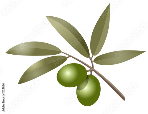 olive con foglie photo