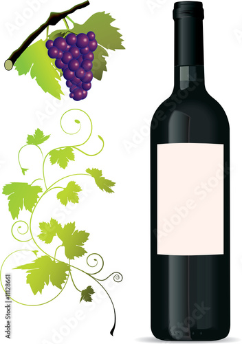 set of vine elements