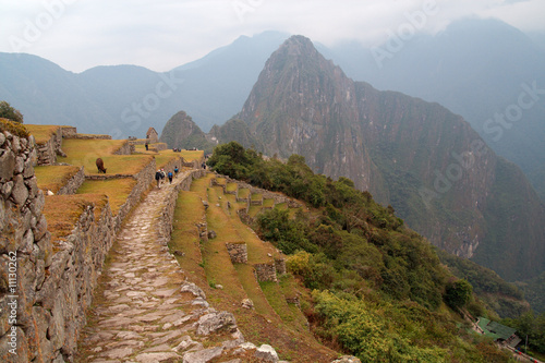 Ancient road to Machu Picchu