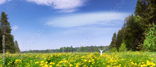Panorama of a blossoming meadow