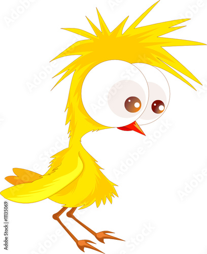 Cute chicken
